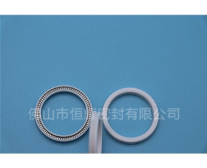 HOA、HVA軸用泛塞封 (16)