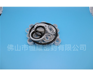 HOB、HVB孔用泛塞封 (7)
